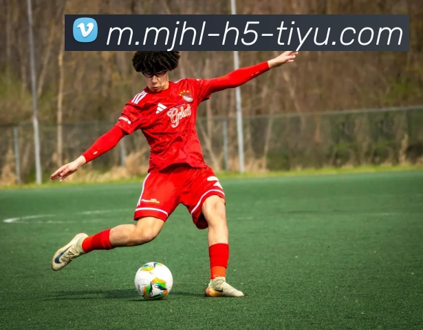 麻将胡了平台生态图